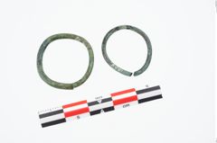 Foto von Bronzering (NHMW-PRAE-026374)